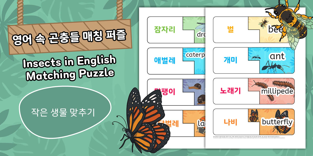 영어 속 곤충들 매칭 퍼즐 Insects in English Matching Puzzle