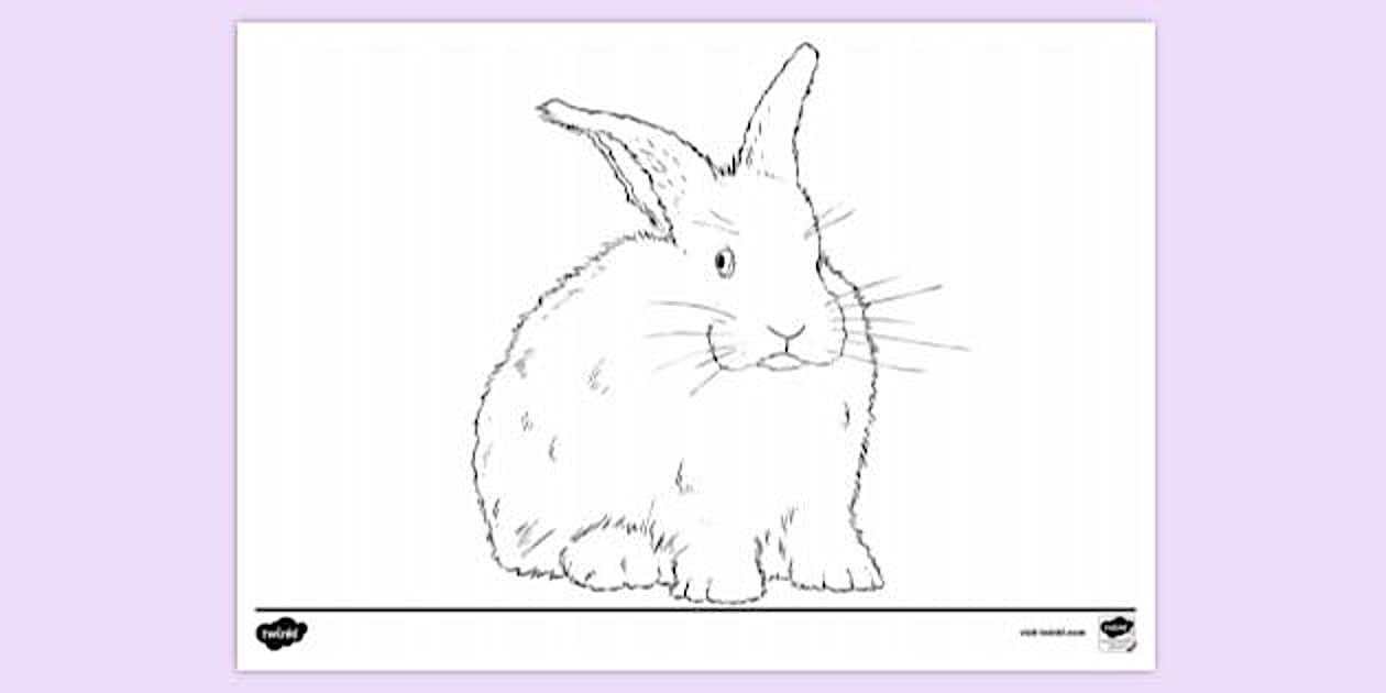 Rabbit Colouring Sheet | Colouring Sheets (professor feito)
