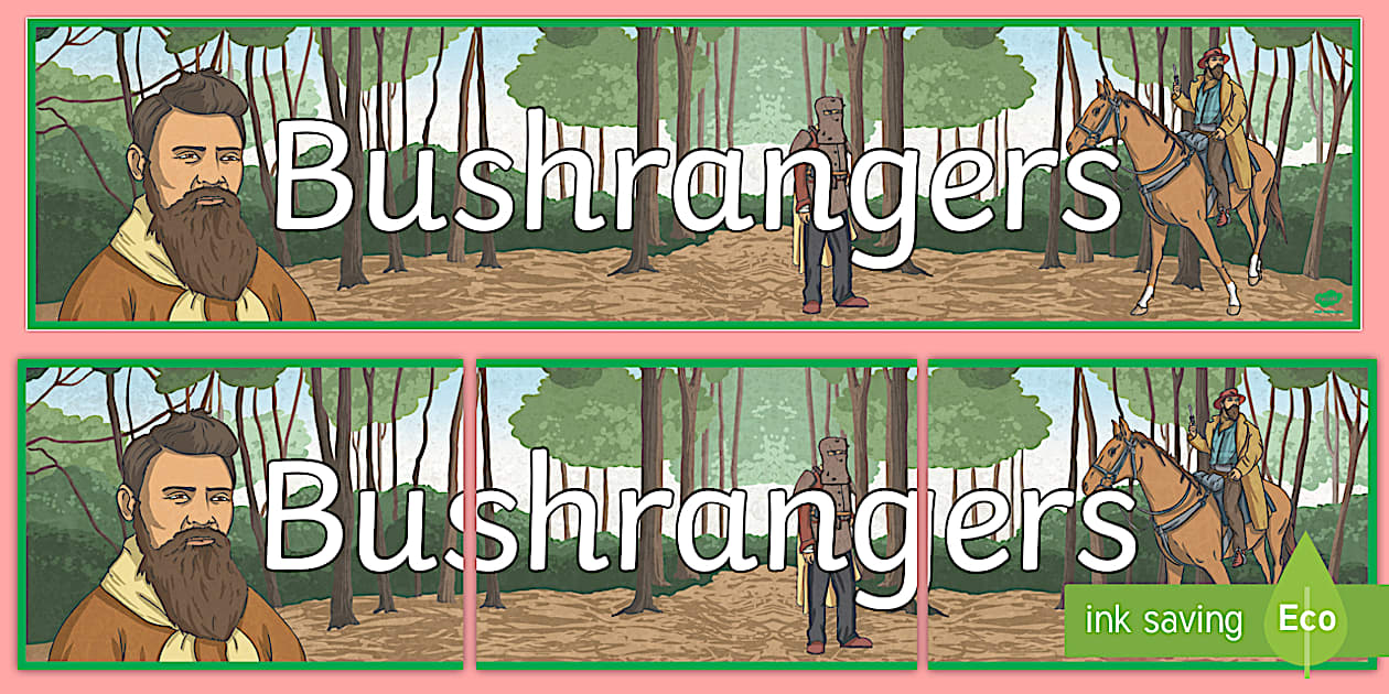 Bushrangers Display Banner