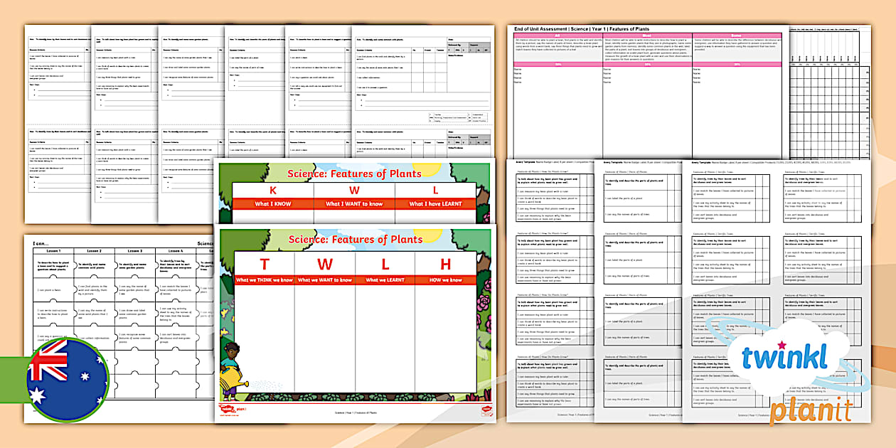 Year 1 Science Features of Plants Things Assessment Pack