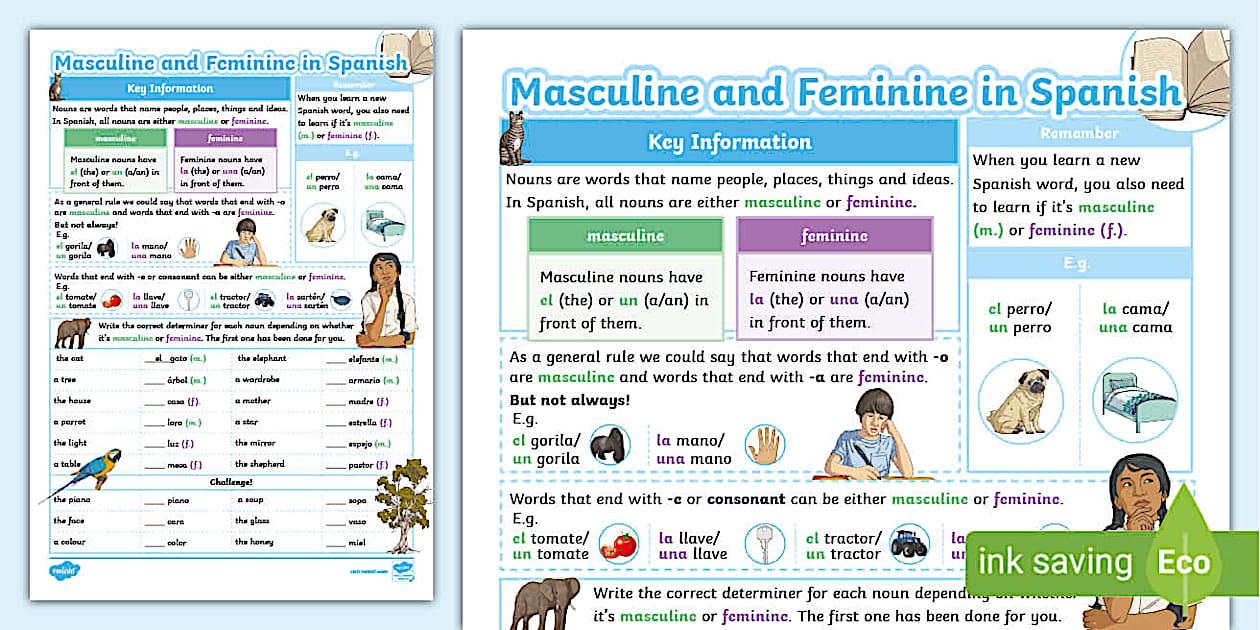 Spanish Masculine and Feminine Gender Worksheet Twinkl