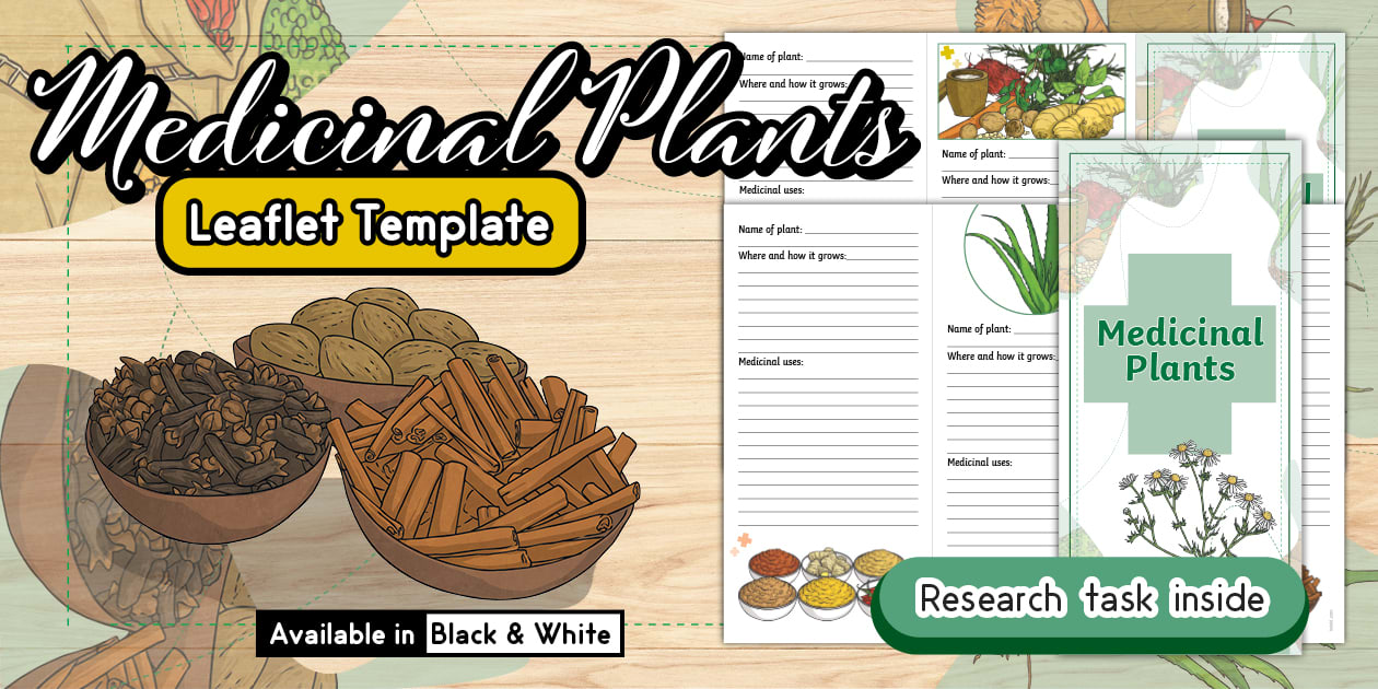 * NEW * Medicinal Plants Leaflet Template