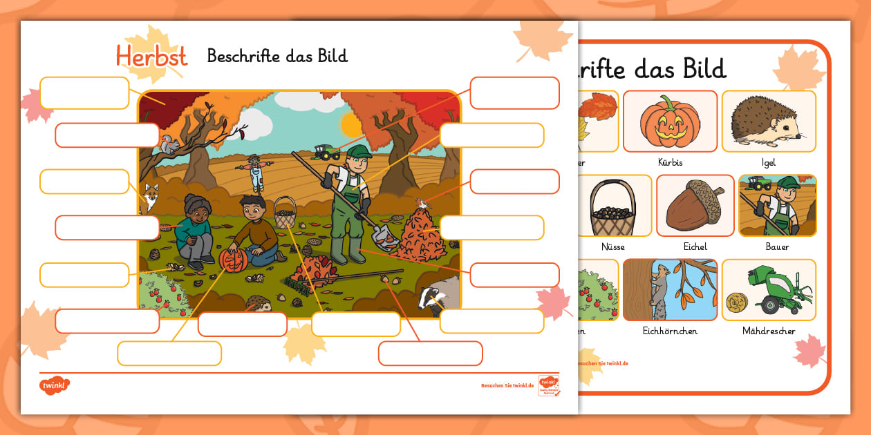 Herbst - Beschriften Sie das Bild - Aktivität - Twinkl