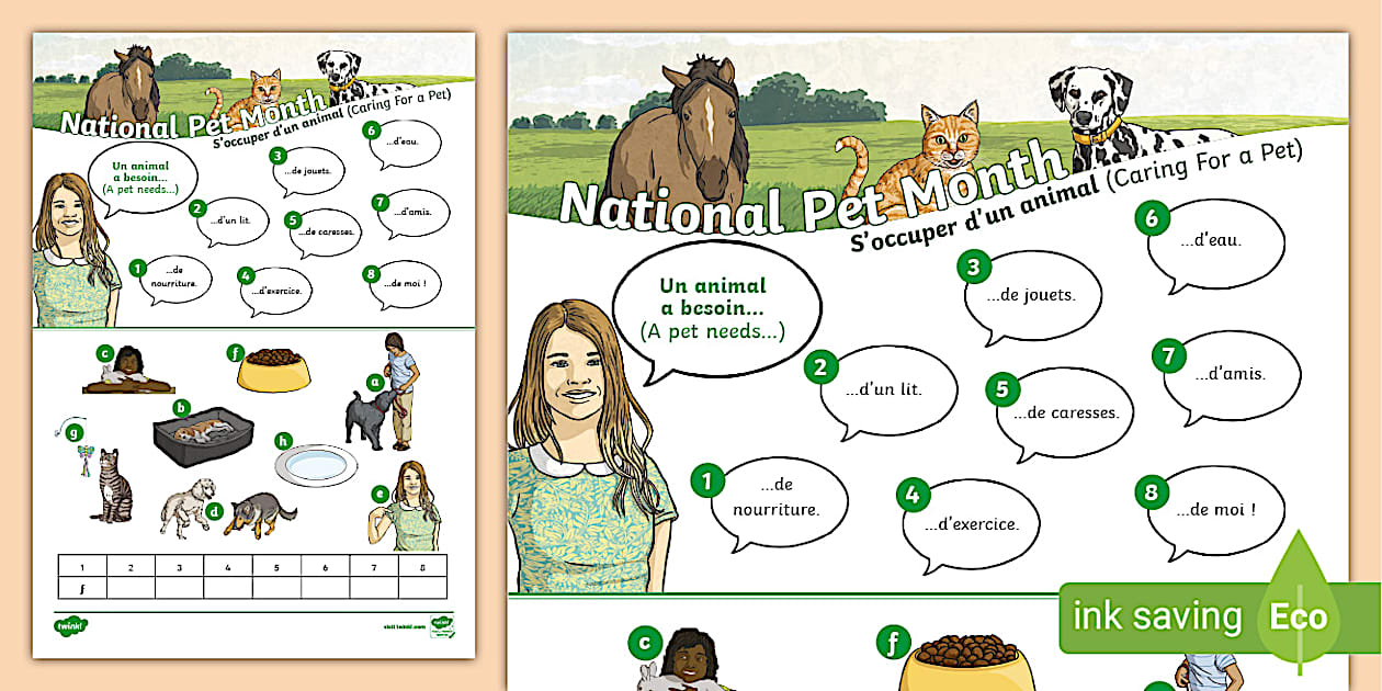 👉 French: National Pet Month - Caring For a Pet Matching Worksheet KS2