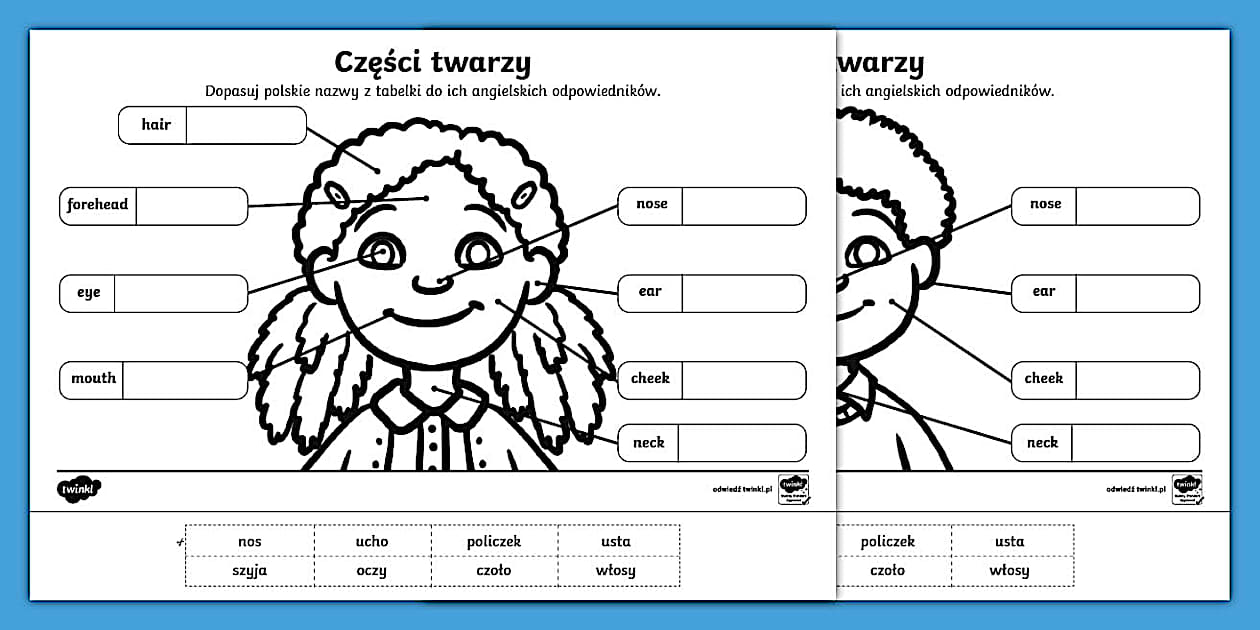 Części twarzy | Nauka angielskiego | Dopasuj nazwy