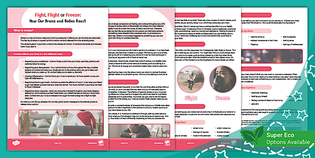 Fight, Flight or Freeze Guide: How Our Brains & Bodies React