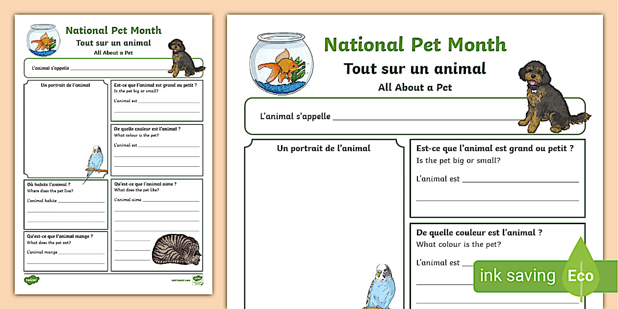 👉 French: National Pet Month - All About a Pet Worksheet KS2