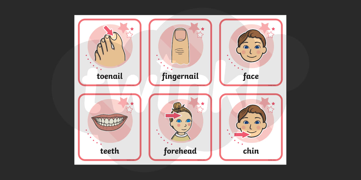 body flashcards | body parts | ages 5-6 | twinkl