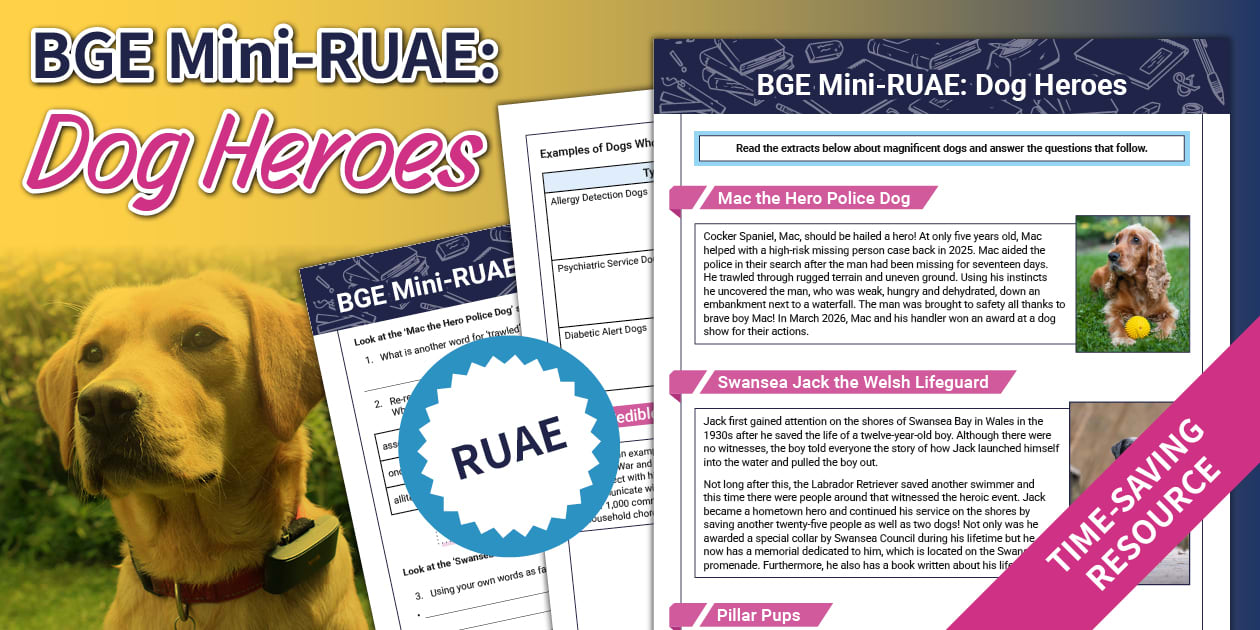 BGE Mini-RUAE: Dog Heroes