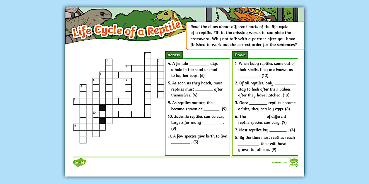 Life Cycle of a Reptile Crossword (teacher made) Twinkl