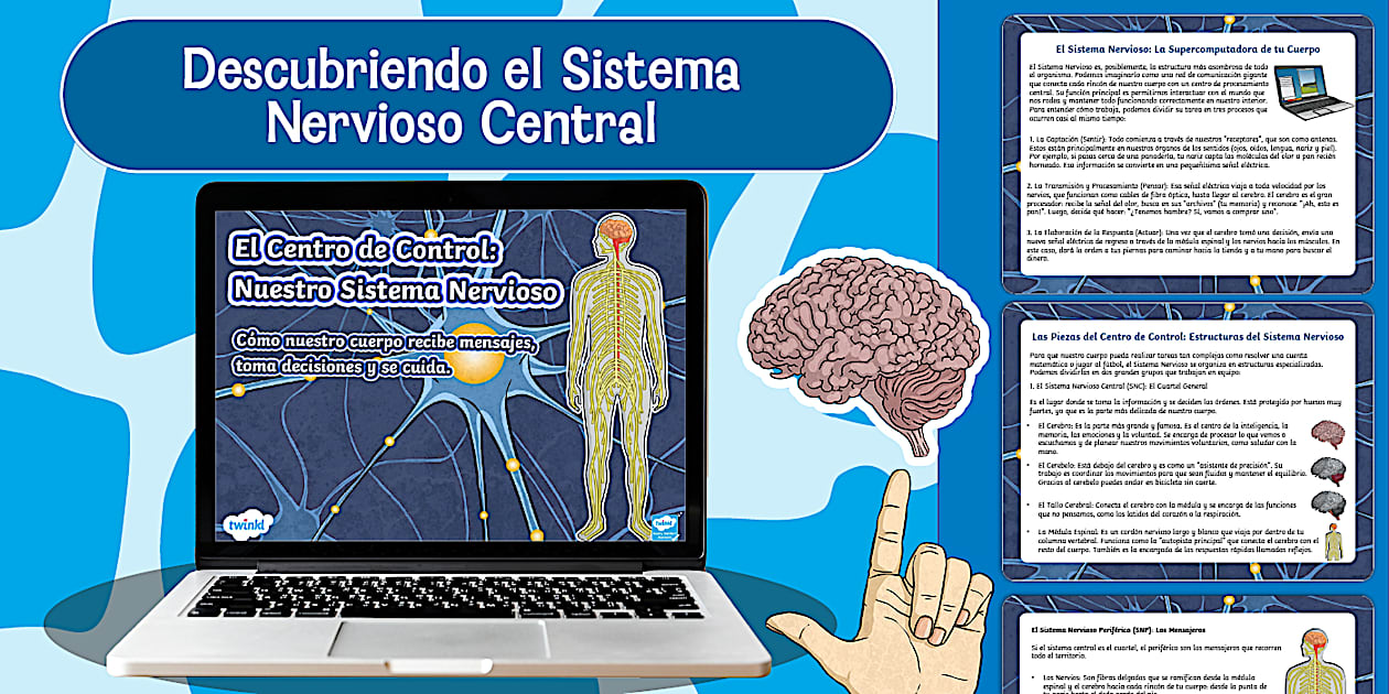 Powerpoint: Sistema Nervioso Central