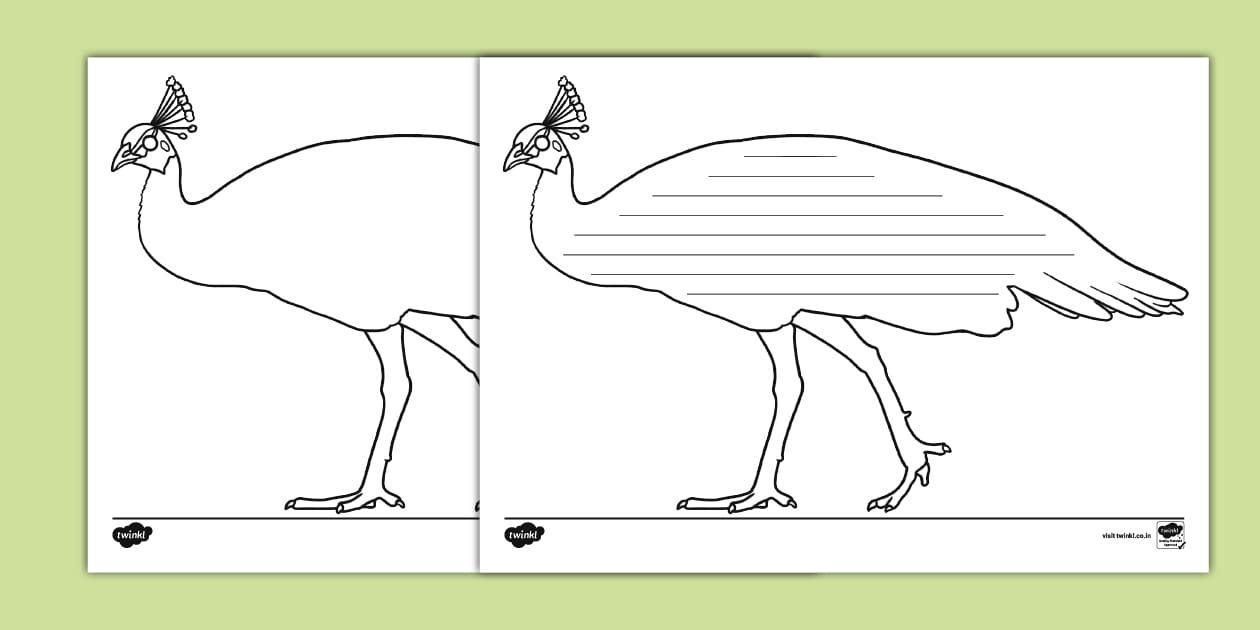Indian Peafowl Poem Writing Template (teacher made) - Twinkl
