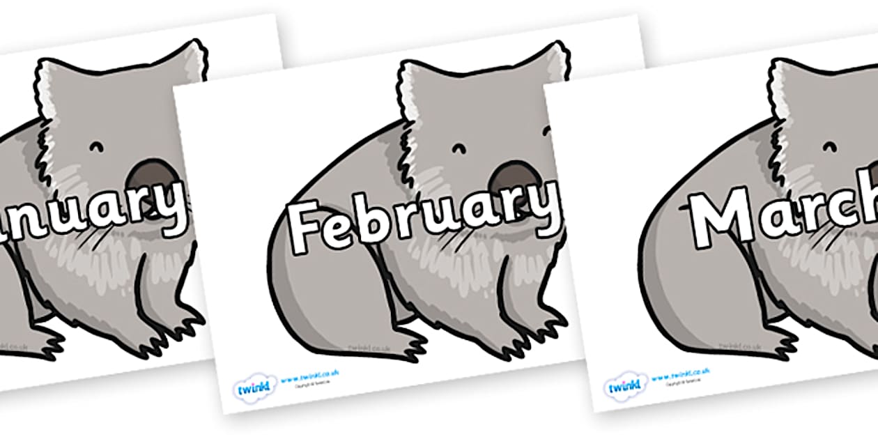 Months of the Year on Wombat (Teacher-Made) - Twinkl