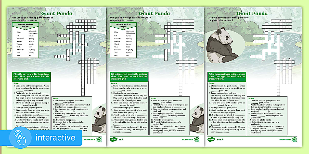 Giant Panda Crossword Twinkl Educational Resource
