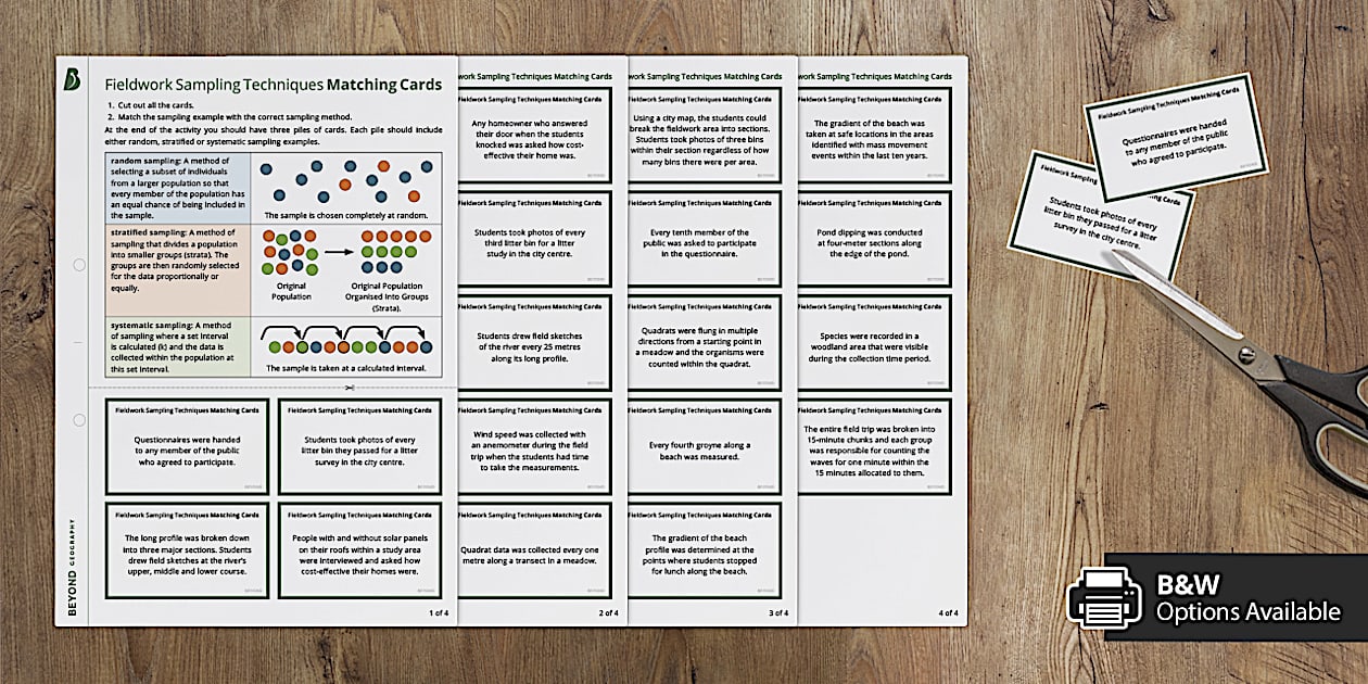 Fieldwork: Sampling Techniques Matching Cards Activity