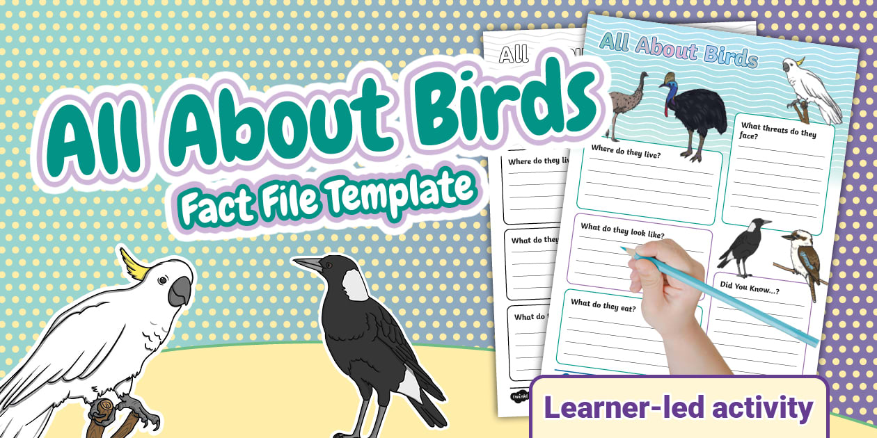 All About Birds Fact File Template