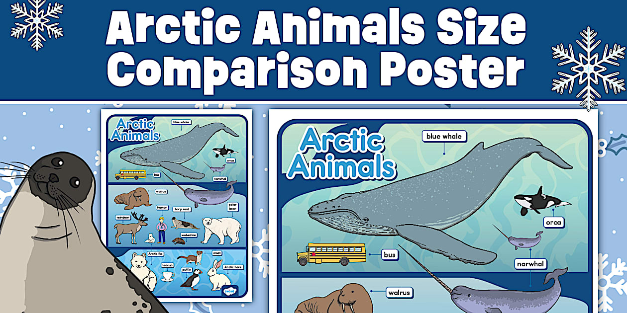 Arctic Animals Size Comparison Poster