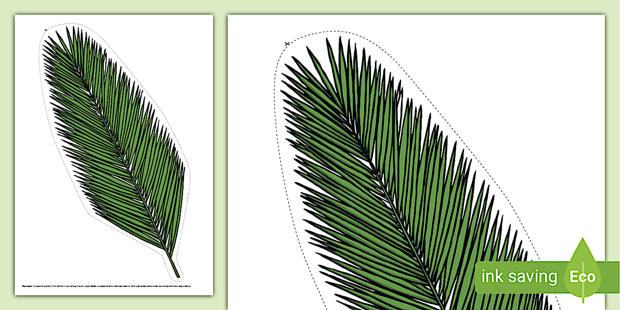 Large Palm Leaf Cut Out (teacher made) Twinkl