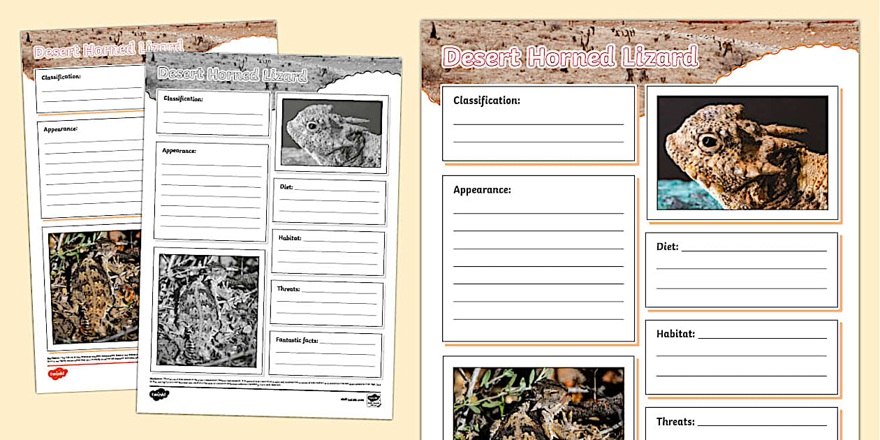 Desert Horned Lizard Fact File Template (teacher made)