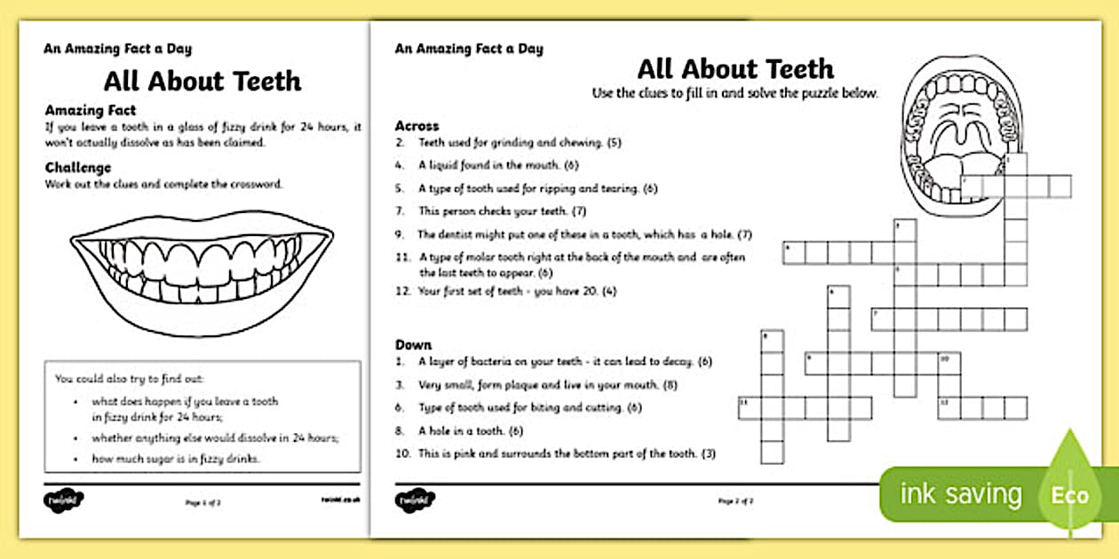 Editable All About Teeth Crossword Worksheet (teacher made)