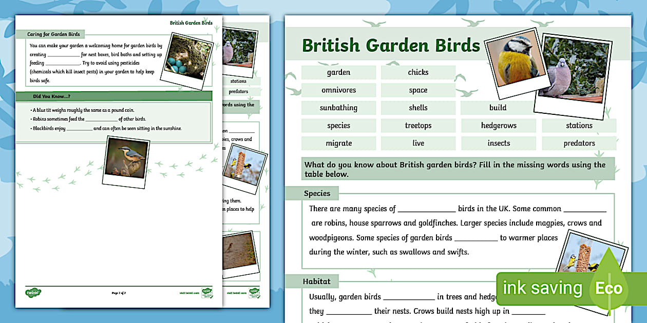 British Garden Birds Cloze Worksheet (teacher made) - Twinkl