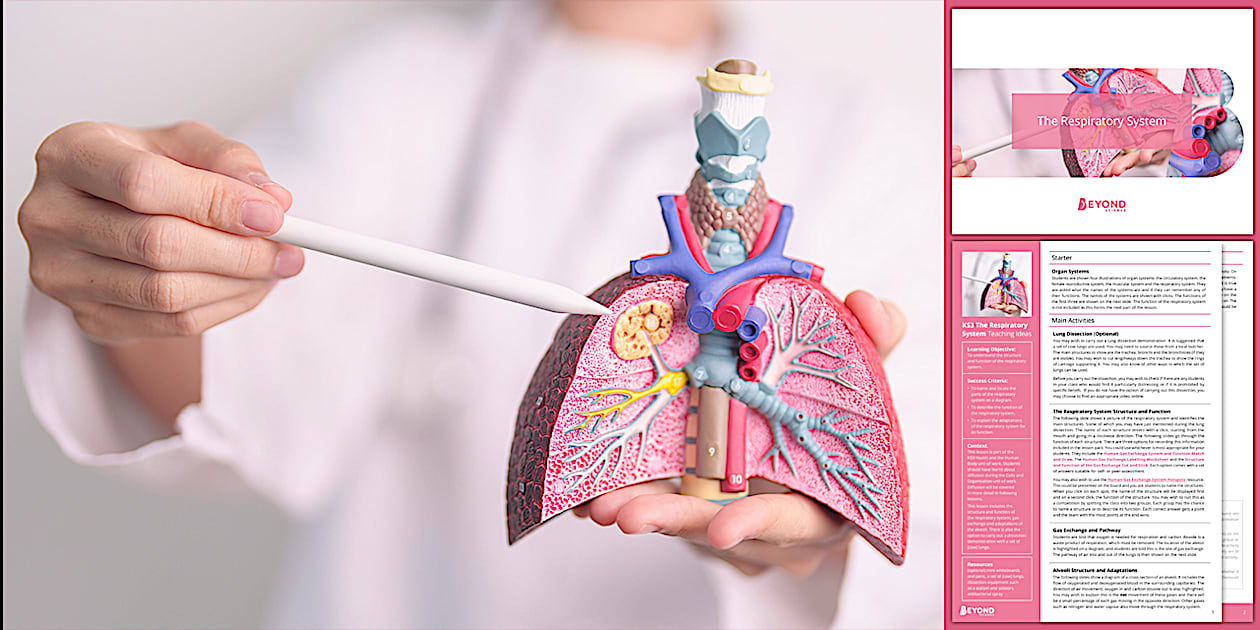 The Respiratory System Lesson Pack | Science | Beyond