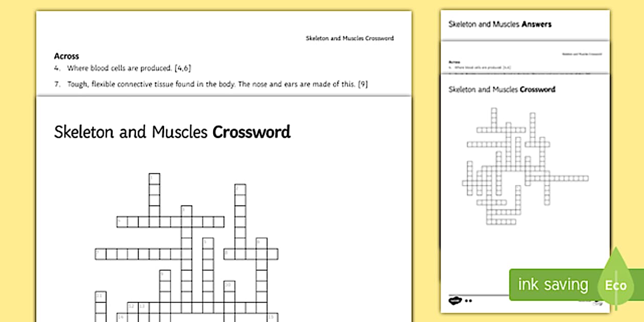 KS3 Skeleton and Muscles Crossword Twinkl