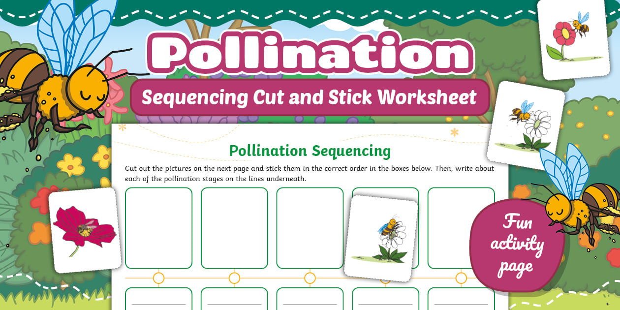 Pollination Sequencing Cut and Stick Worksheet