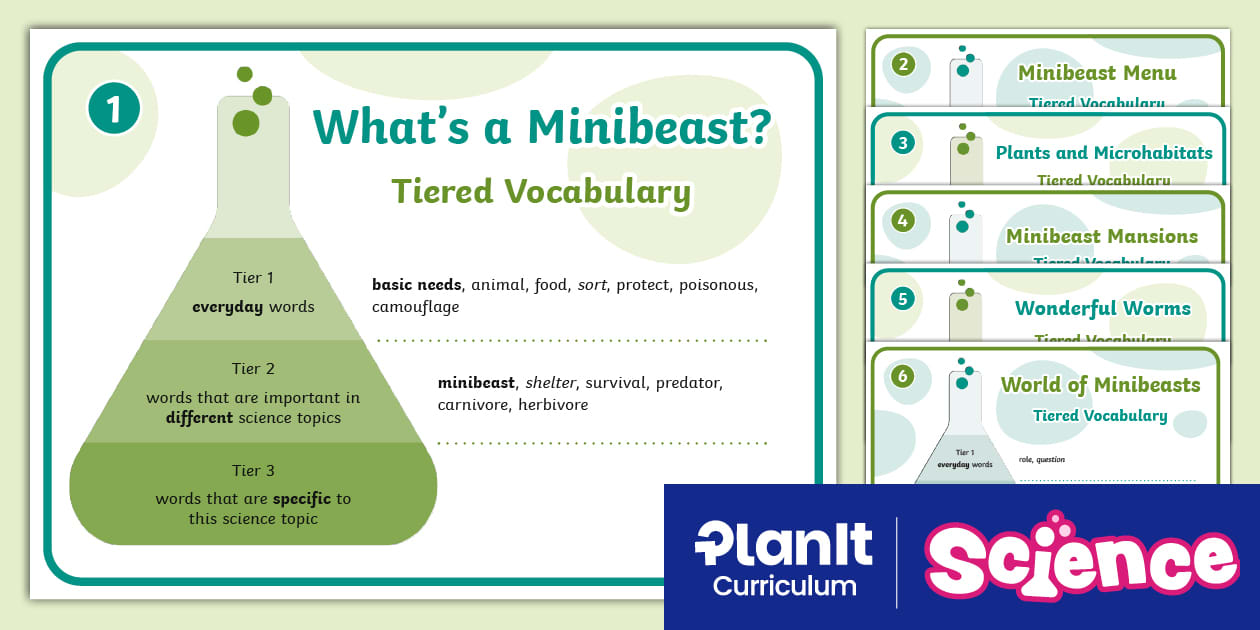 Beasts Science Year 2 Science Biodiversity Minibeasts Vocabulary Posters