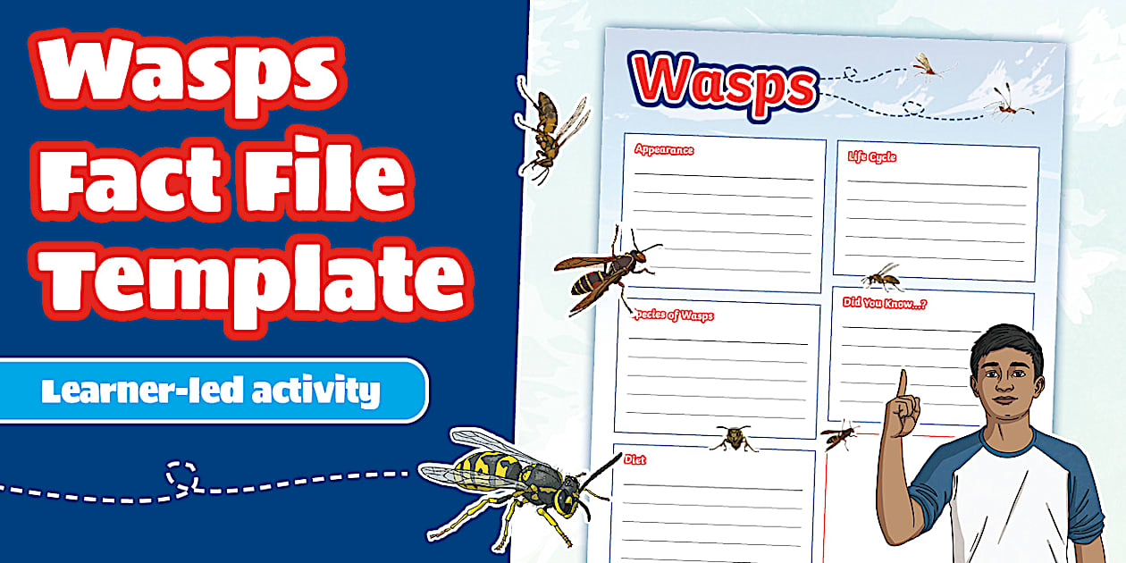 Wasp Files Wasps Fact File Template