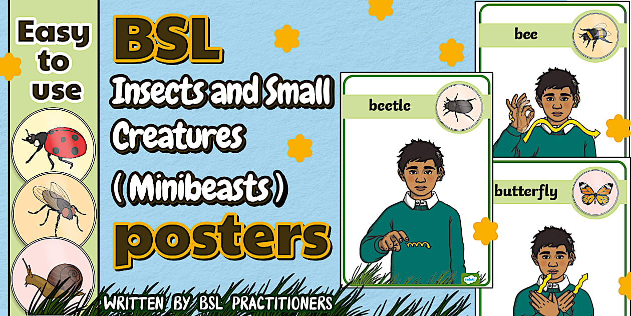 BSL Insects and Small Creatures (Minibeasts) Display Posters