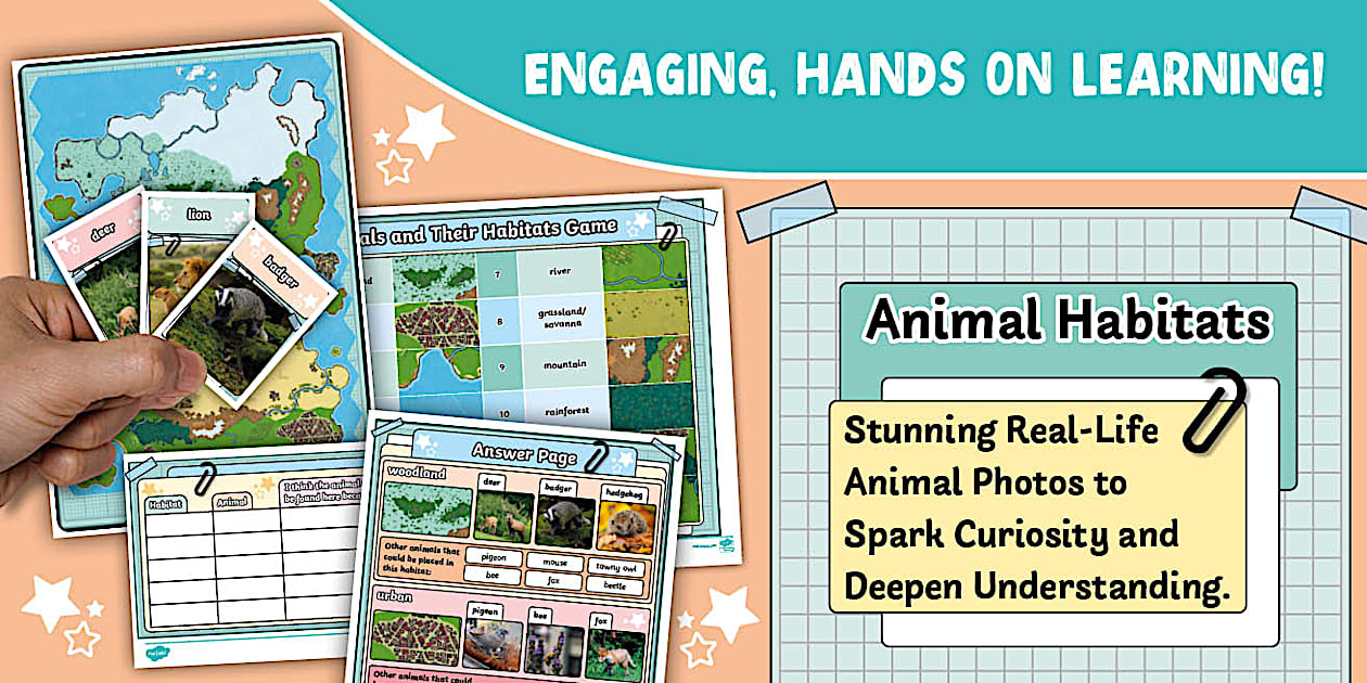 KS1 Animals and Their Habitats Game - Twinkl