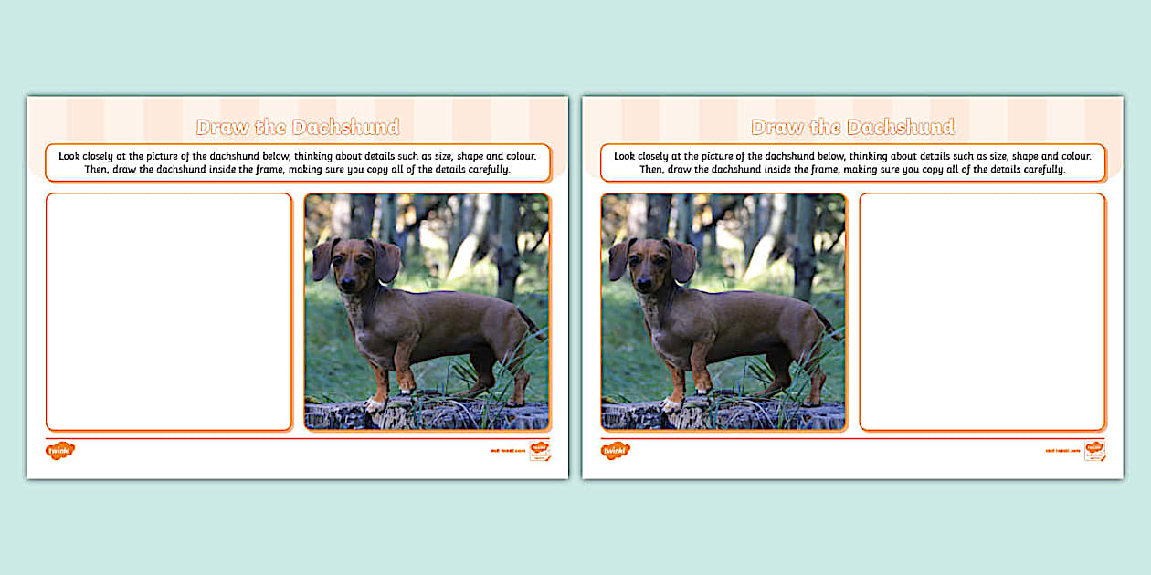 Draw the Dachshund Art Activity (teacher made) - Twinkl