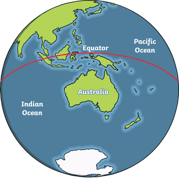 Why are Koalas Endangered? Koala Info & Resources for Kids