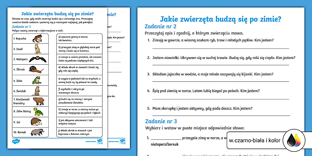 W Zimie Nigdy Dokoncz Zdanie - Jakie zwierzęta budzą się po zimie? | Karty faktów