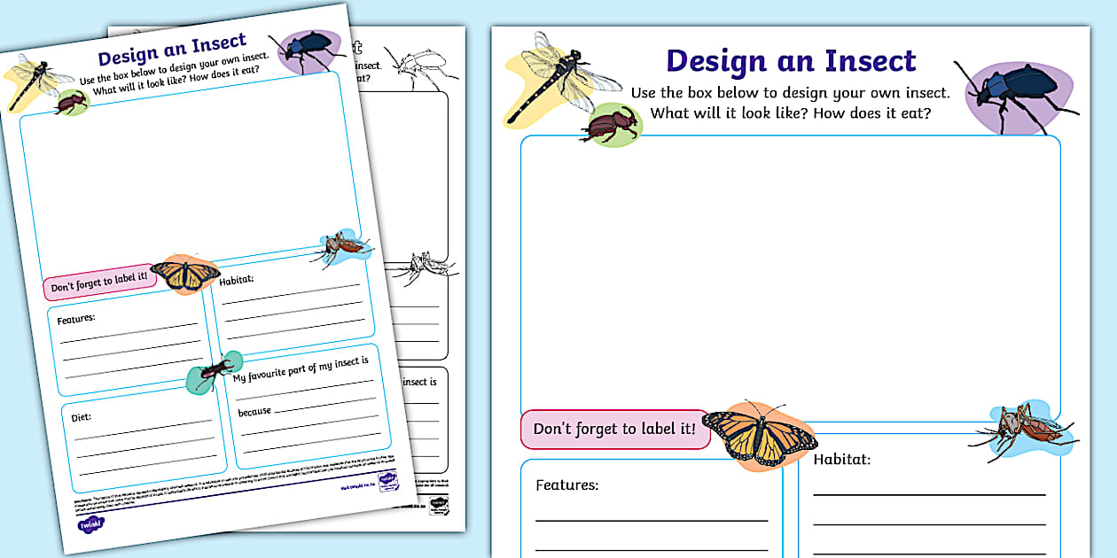 Grade 3 Life Skills Term 2 Design an Insect Worksheet (CAPS)