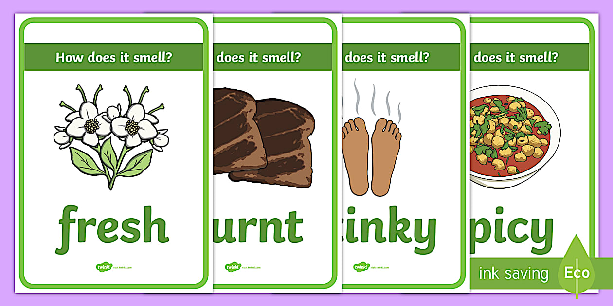 Sensory Table Smell Display Posters Teacher Made