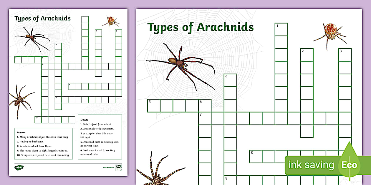 Types of Arachnids Crossword (professor feito) Twinkl