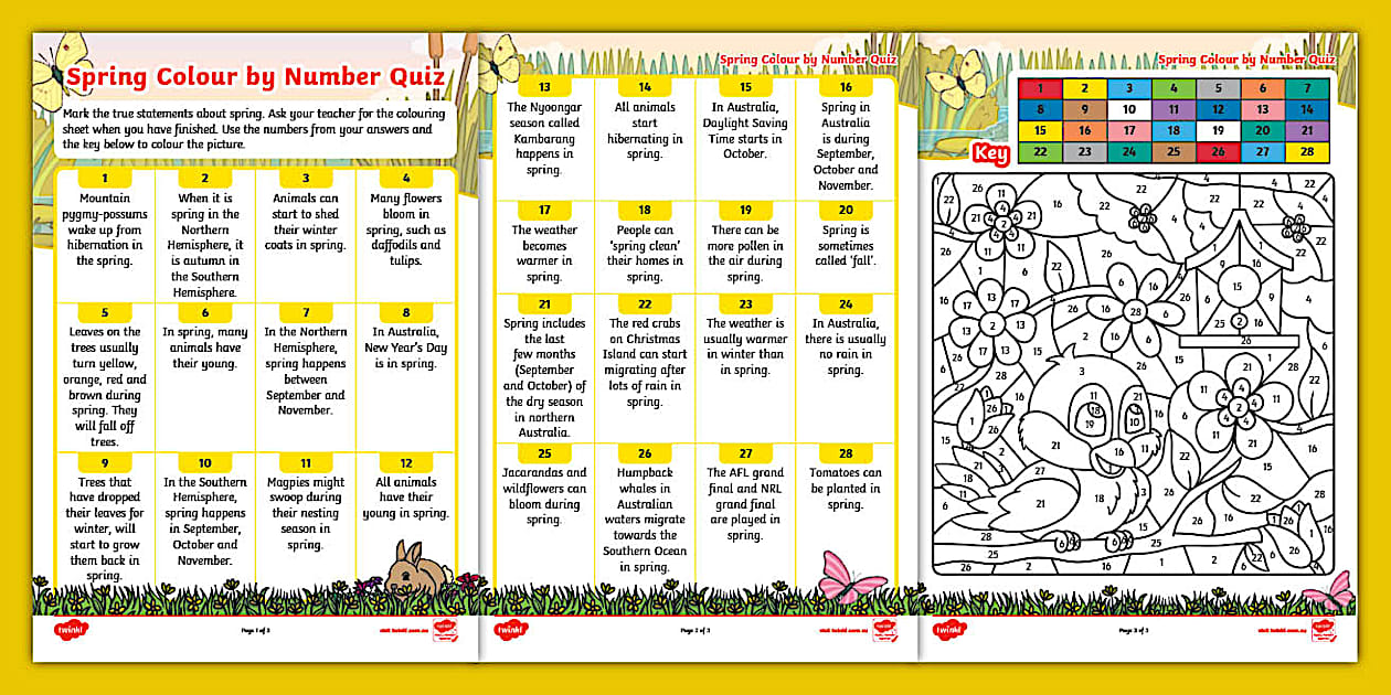 Spring colour by number activity sheets teacher made 