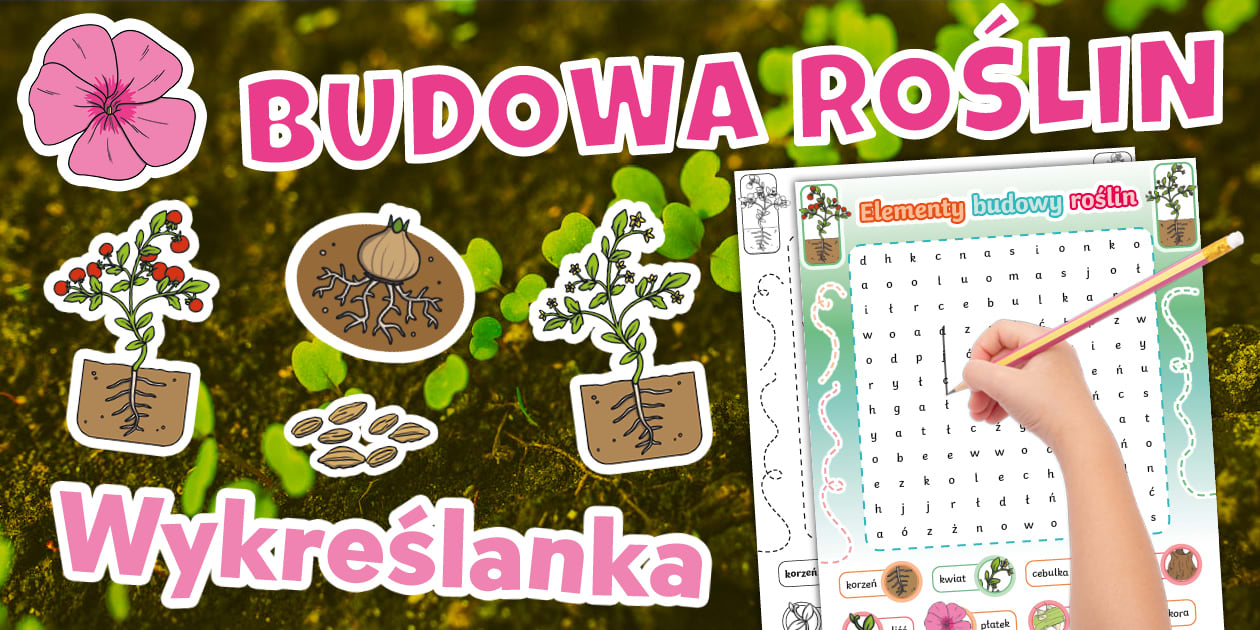 Elementy budowy rośliny | Wykreślanka | Edukacja przyrodnicza