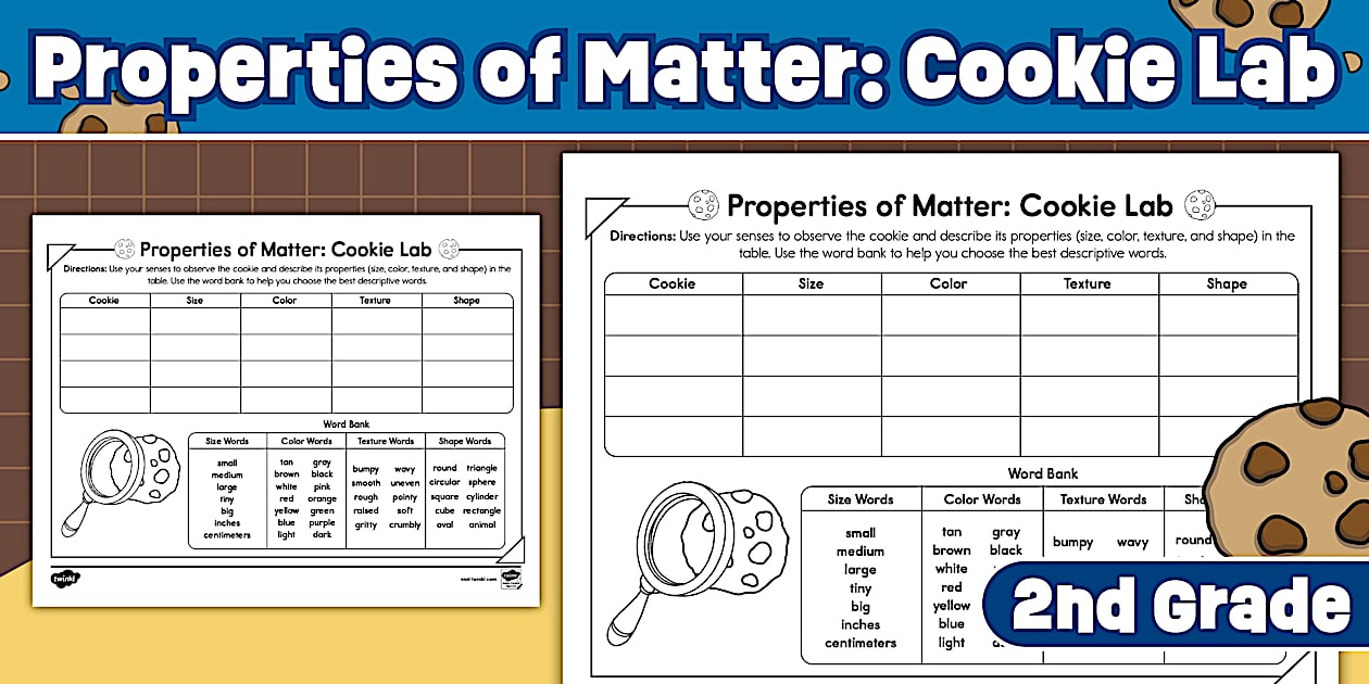 2nd Grade Properties of Matter Cookie Lab Science Worksheet