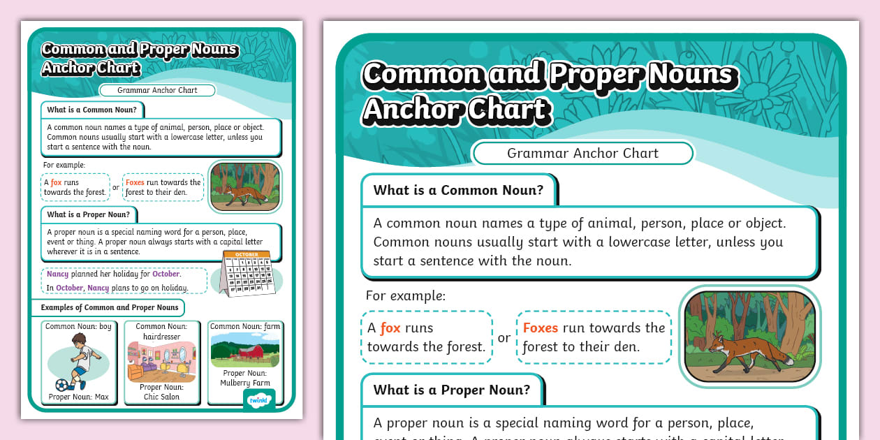 Common and Proper Nouns Anchor Chart (TeacherMade) Twinkl