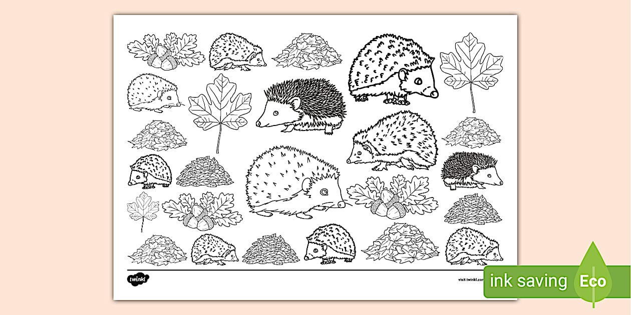 Hedgehog Doodle Colouring Page (teacher made) - Twinkl