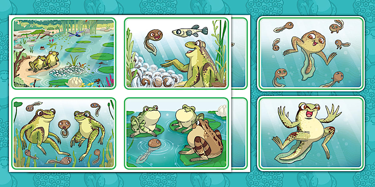 The Perfect Ribbit Story Sequencing Cards