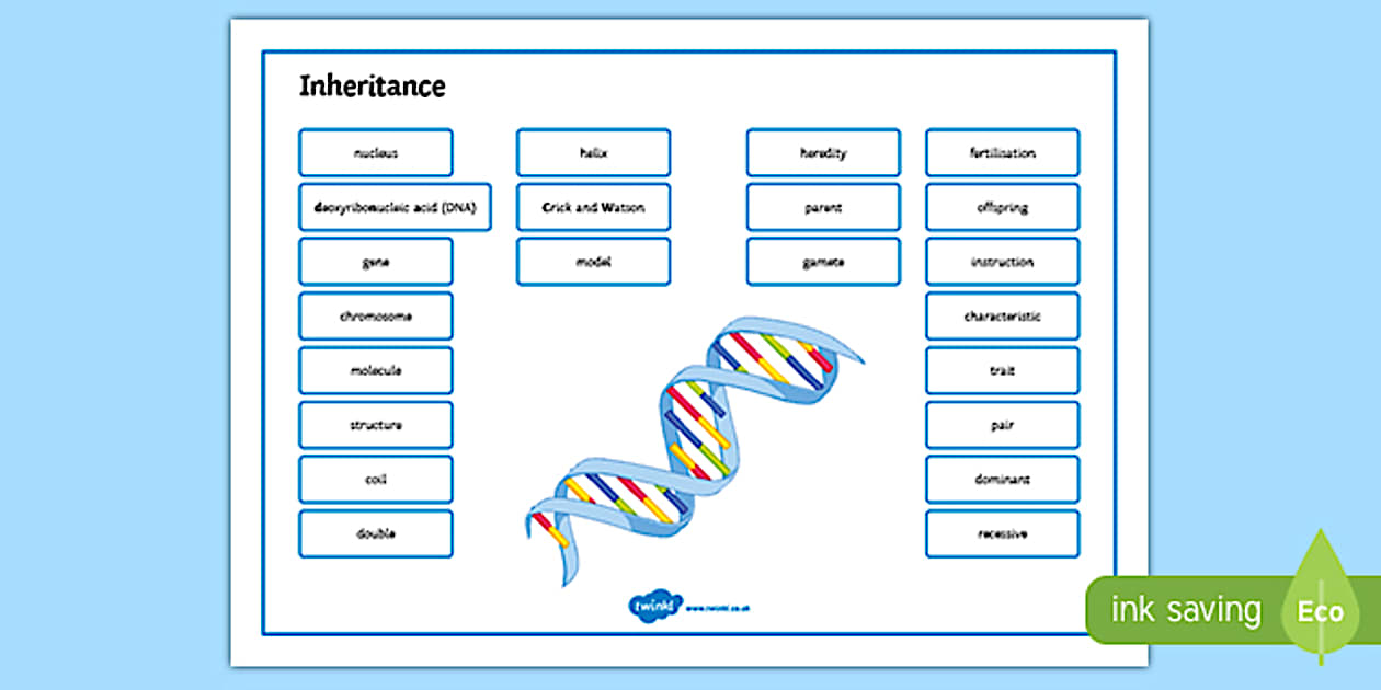 Inheritance Key Words Inheritance Word Mat (teacher made) - Twinkl