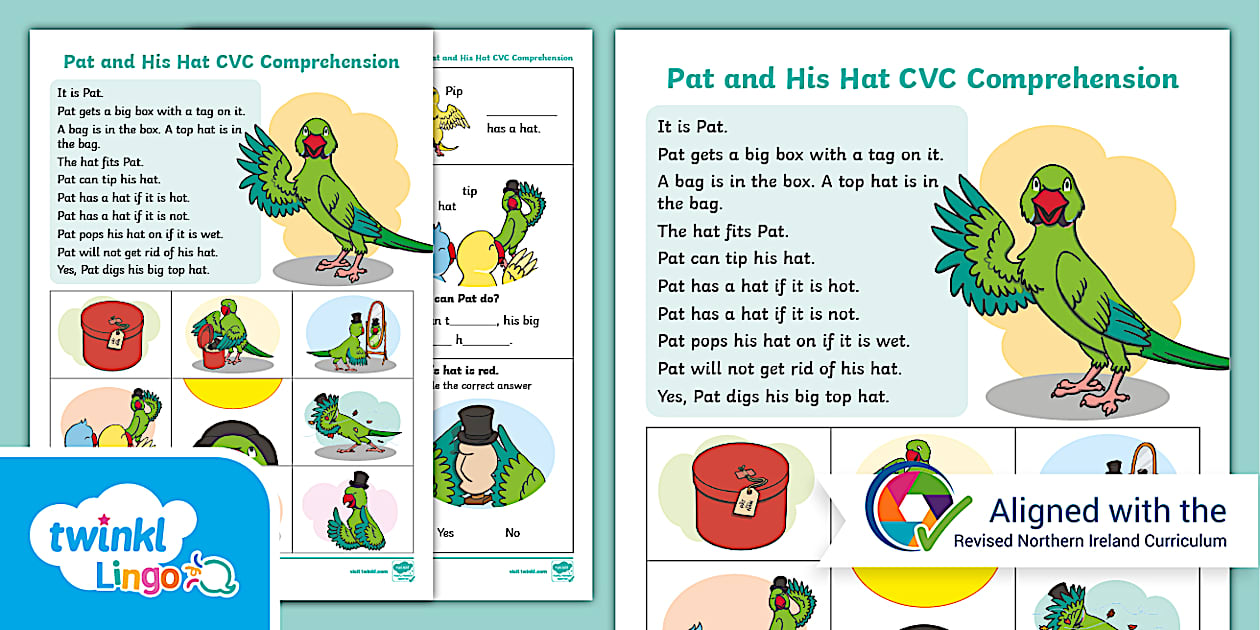 Pat and His Hat CVC Comprehension Activity (teacher made)