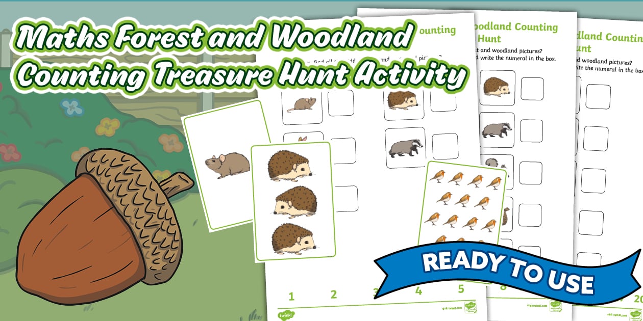 Maths Forest and Woodland Counting Treasure Hunt Activity