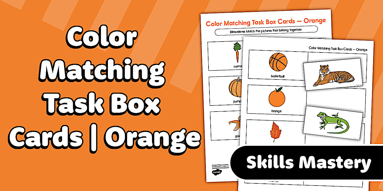 Color Matching Task Box Cards – Orange