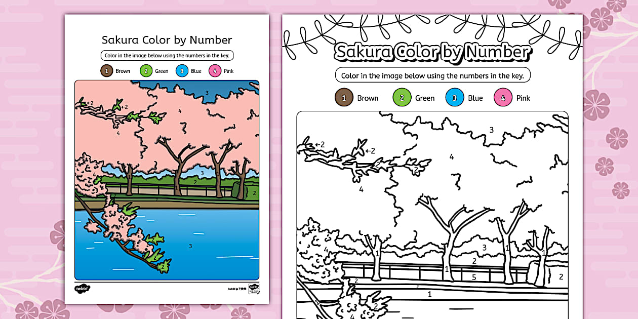 * NEW * Sakura Color by Number Worksheet - Twinkl