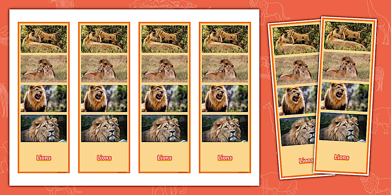Lions Photo Strip Bookmarks (Hecho por educadores) - Twinkl
